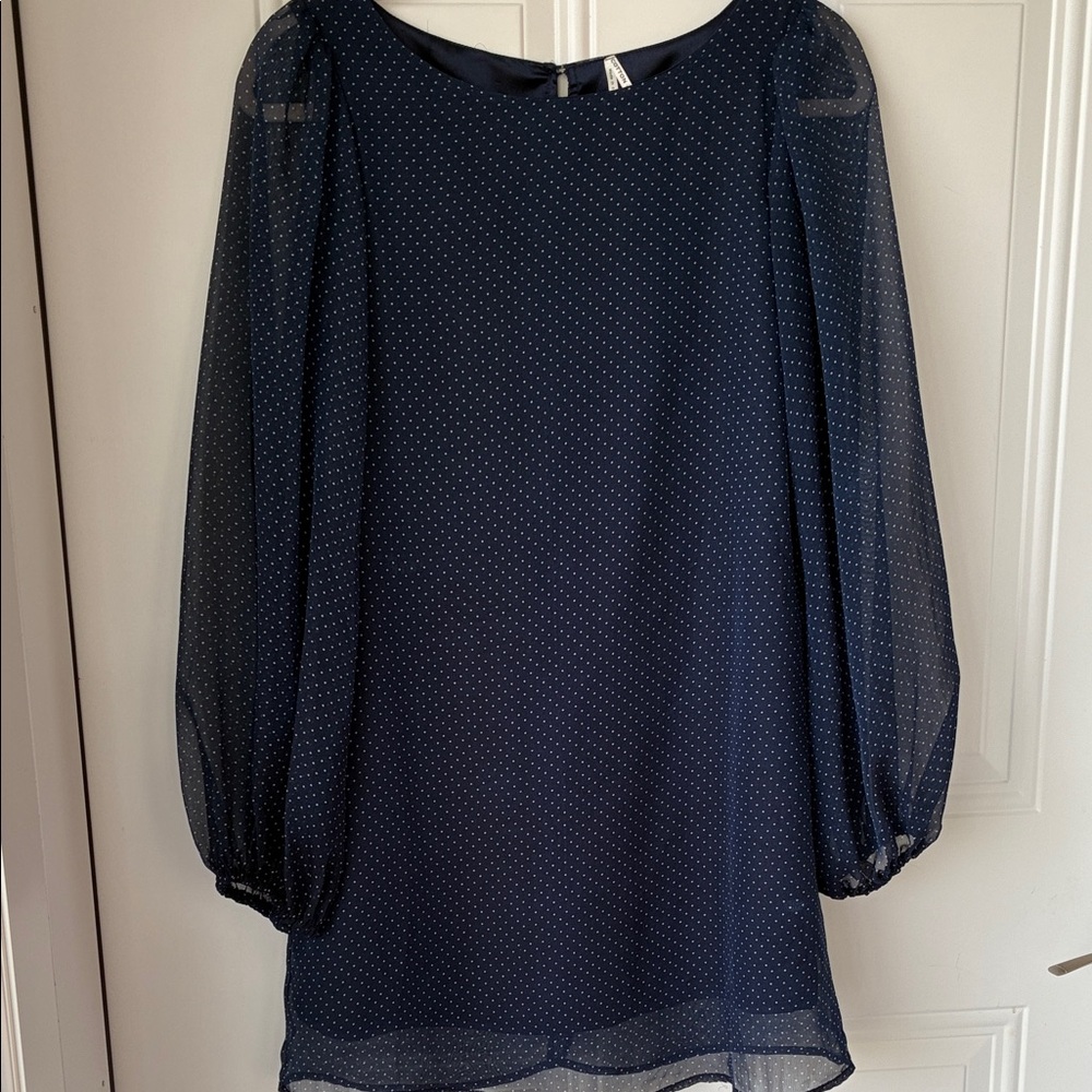 Navy Sheer Dot Long-Sleeve Dress